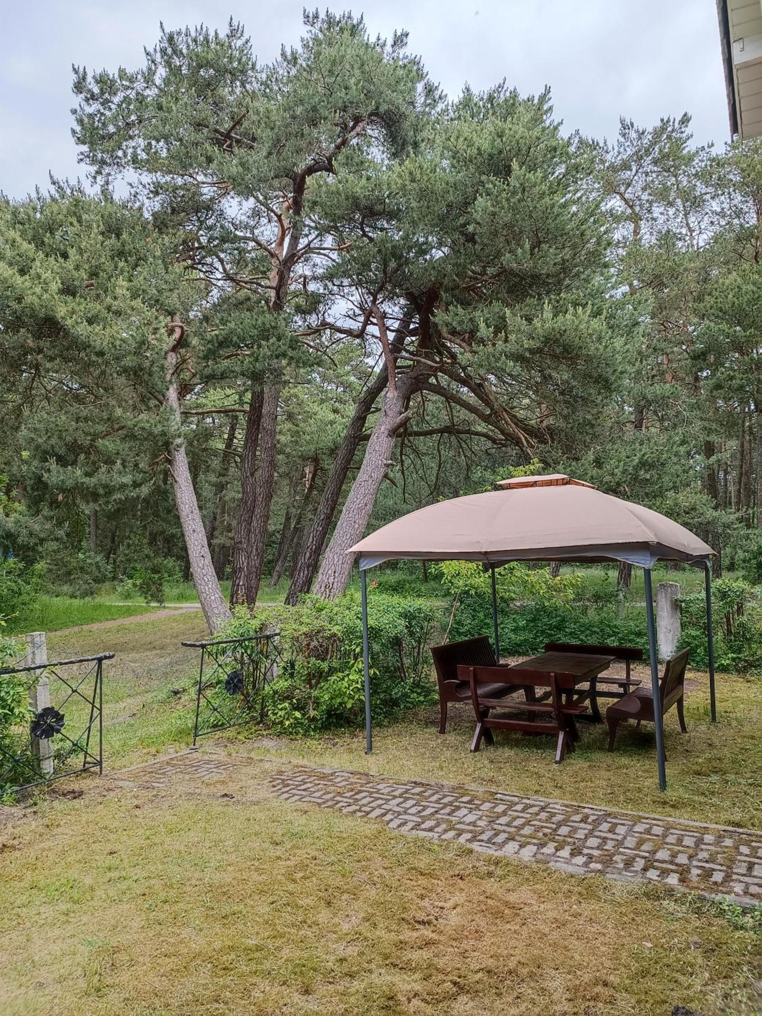 Surf Apartments In Melnrage Klaipeda Phòng bức ảnh